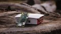 Microchip